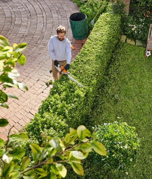 Vedette taille haies